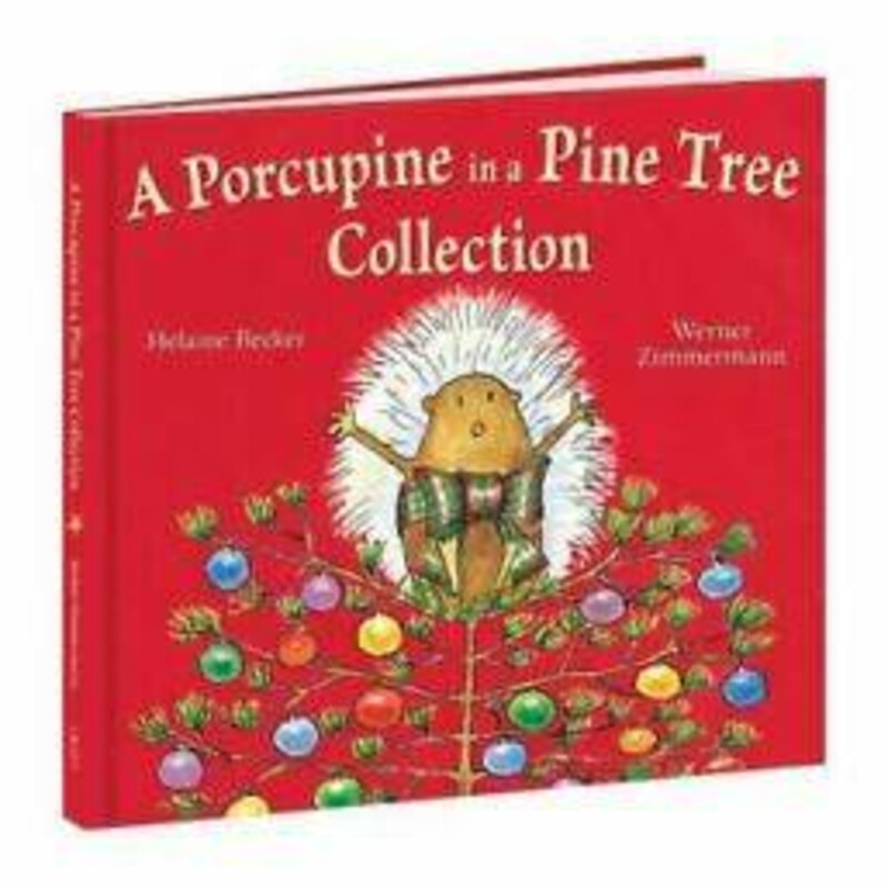 Porcupine In A Pine Tree