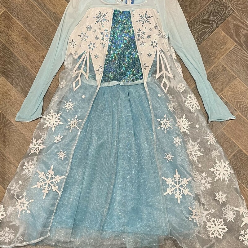 Disney Frozen Costumes, Blue, Size: 12Y+