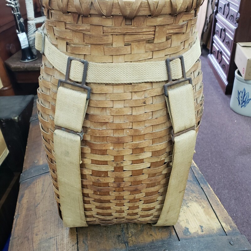 Adirondak Trapper