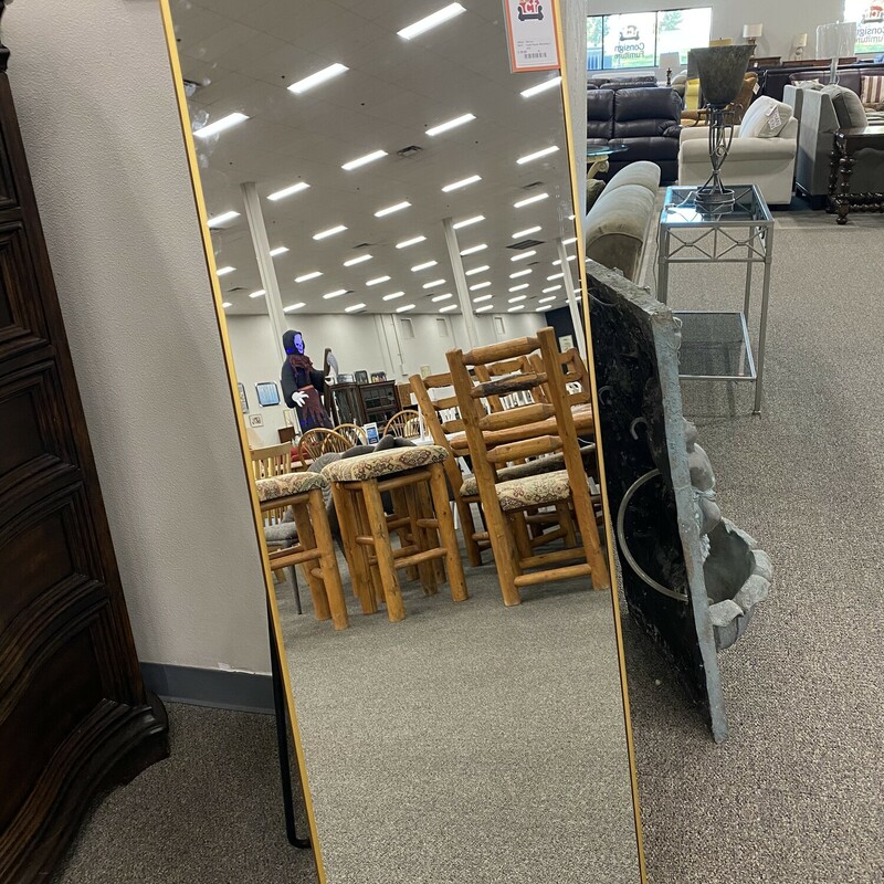 Gold Frame Standing Mirro Consign Furniture Meridian