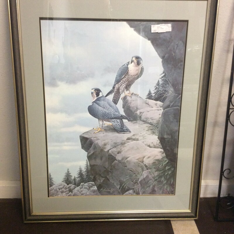 This majestic print of a pair of falcons has been custom framed and matted.