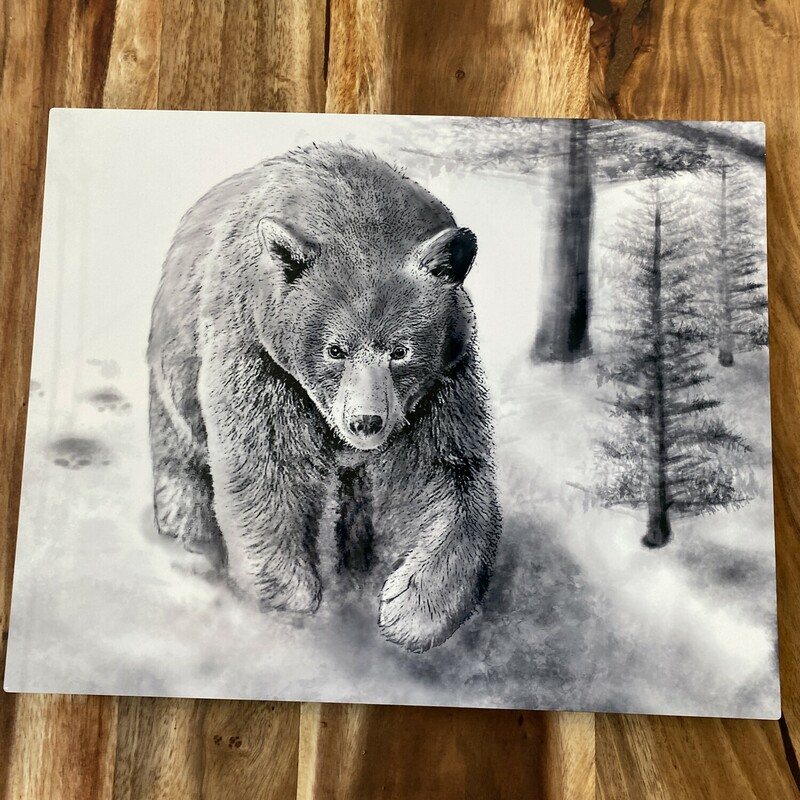 Snowy Bear On Metal, Size: 20x16

California raised, and residing in Berkeley, San is a self taught artist, currently drawing digitally in Krita and Photoshop. Influenced by countless summers and winters spent in Tahoe, their art brings the wildlife of the lake into your home (so you don’t actually have to let it in). You can see more of their work on artstation.com/sanoka or contact them with questions and inquiries at sanoka.art@gmail.com.
