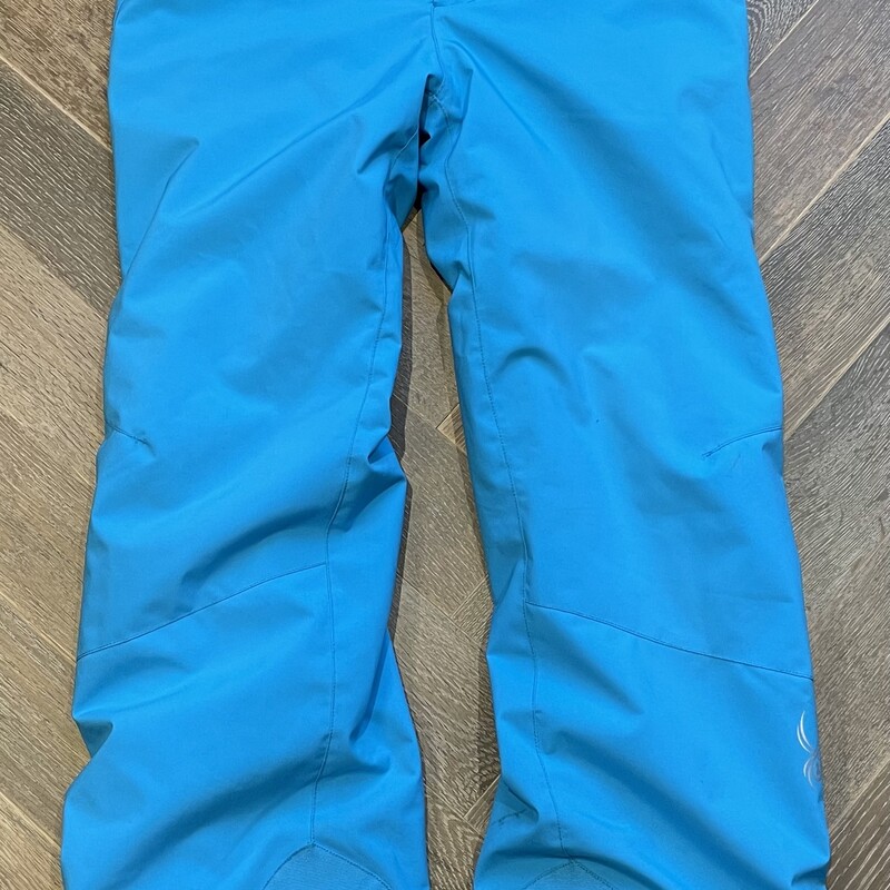 Spyder Ski Pants