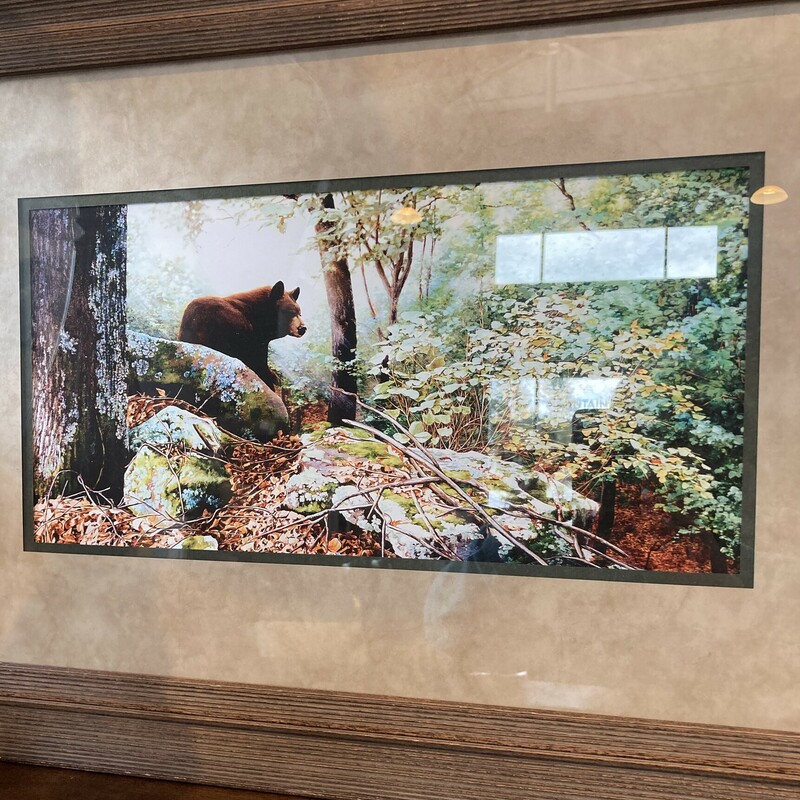 Bear In The Forest,

 Size: 26L X 18 W