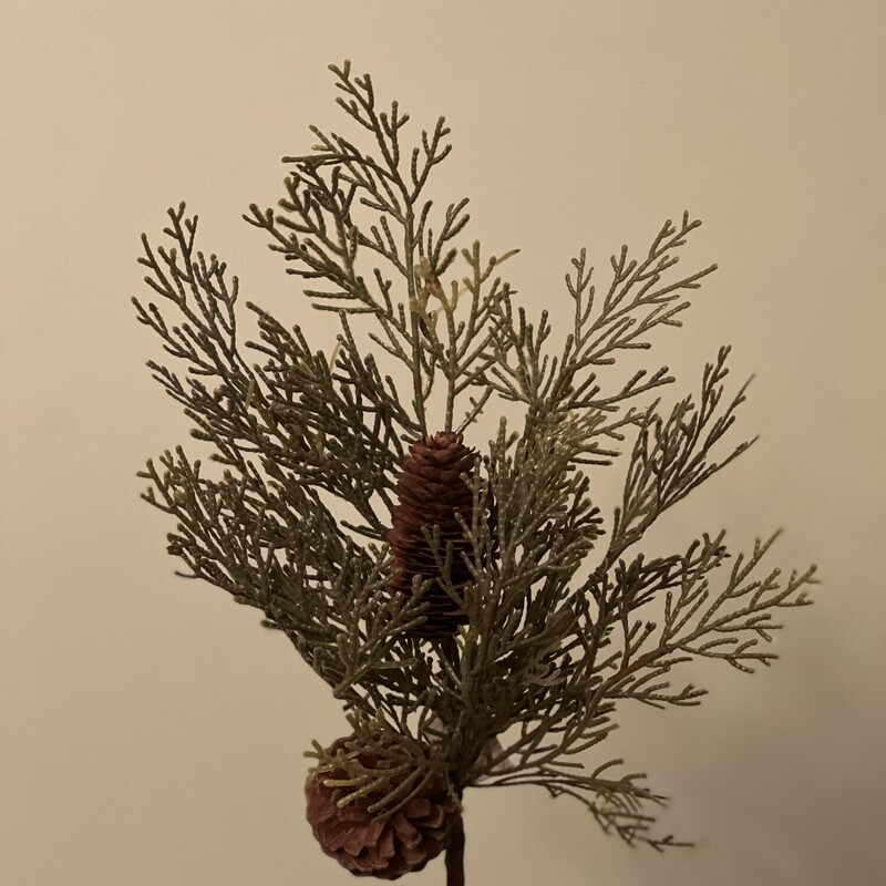 The Cedar and Pinecone stem is a classic stem to add to any of your winter decor. It has soft cedar stems and pinecones with a brown floral wrapped stem that is sturdy and measues 19 inches high.