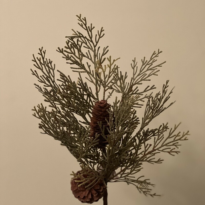 Cedar/pinecone Stem