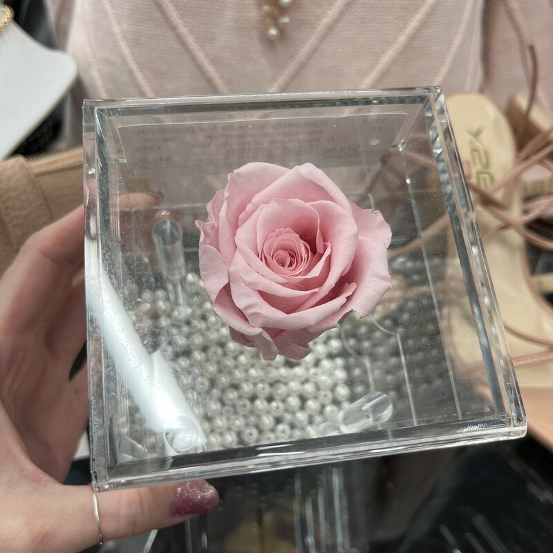 Real Rose In Acrylic Box