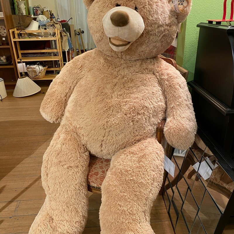 Bear Stuffed