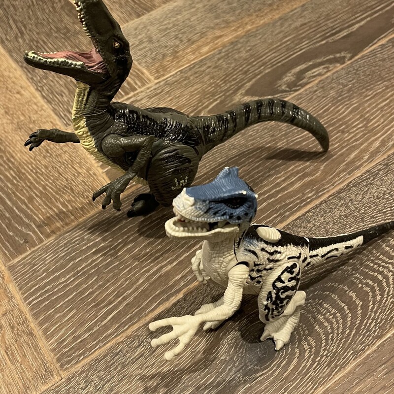 Dinosaur, Multi, Size: 2pc
Battery Not included