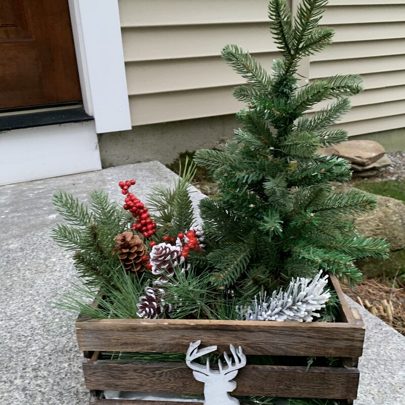 Tree In Stag Crate