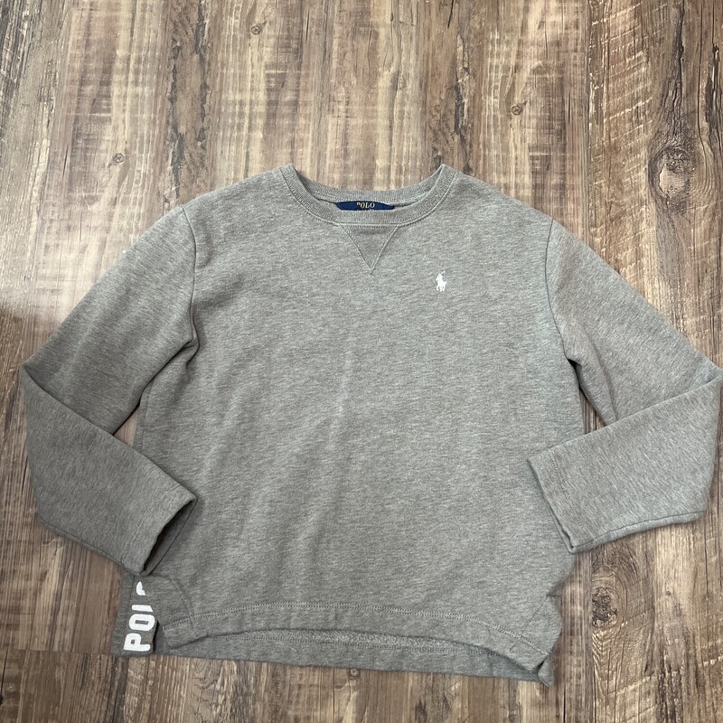 Polo Sweatshirt, Gray, Size: Youth L