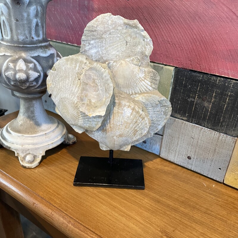 Seashell Statue


Size: 6W X 10H