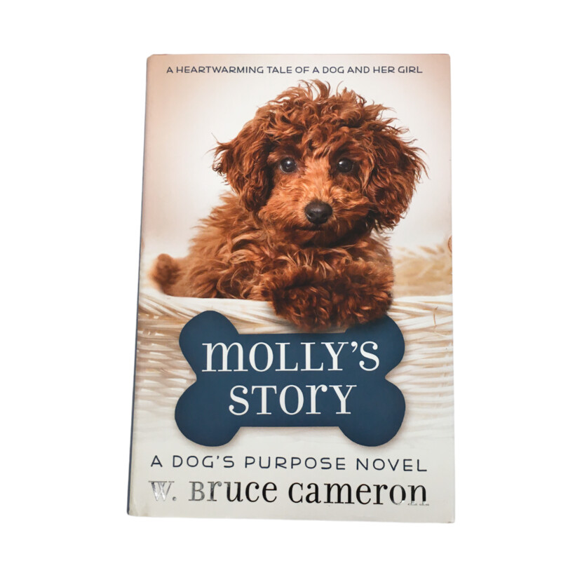 Mollys Story
