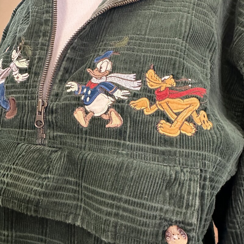 Disney Embroidered Hoodie
