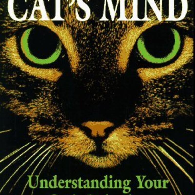 The Cats Mind