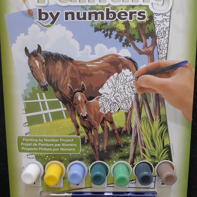 Paint By Number Horse