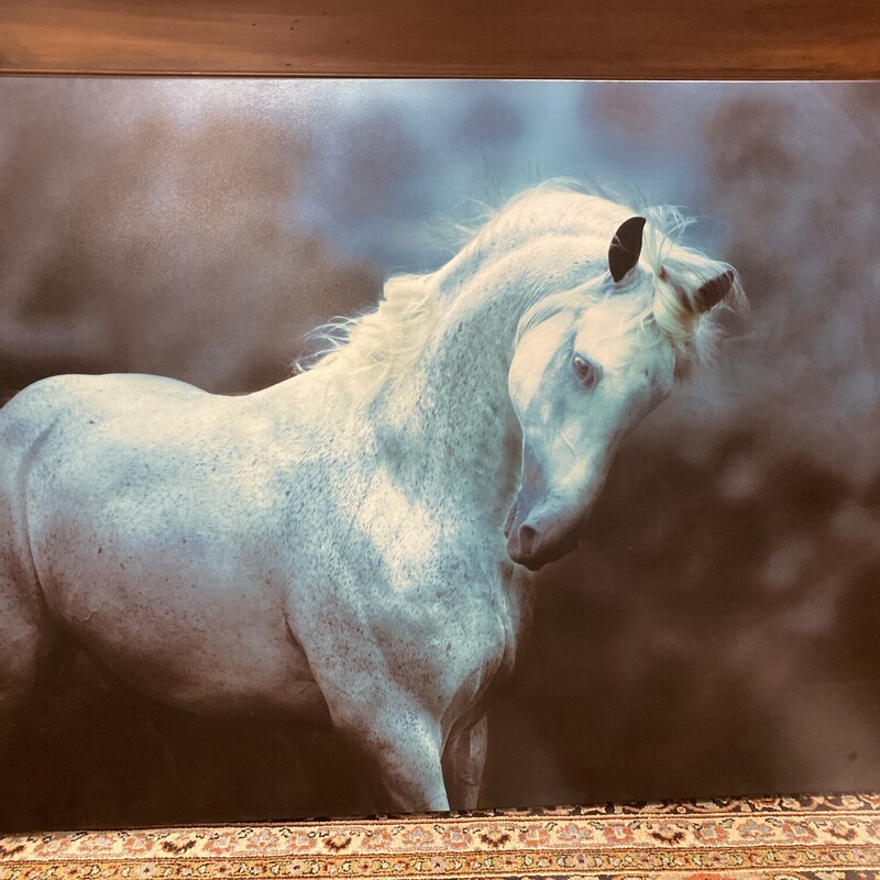 Turquoise Horse Canvas, Color: Turquois
