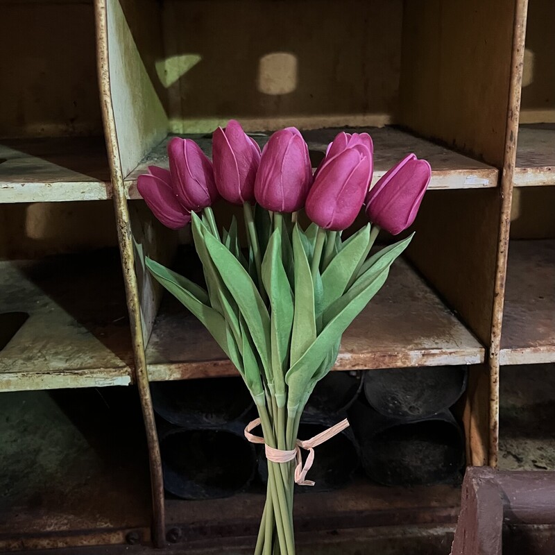 These beautiful real touch tulips are absolutely stunning,  they look and feel like a real tulips. Use them as a gift, or fill your empty vases with a gorgeuos flower that you do not have to water! They measure 14 inches long and come in a bundle of 12 tied together with a raffia bow that can be cut to seperate the stems