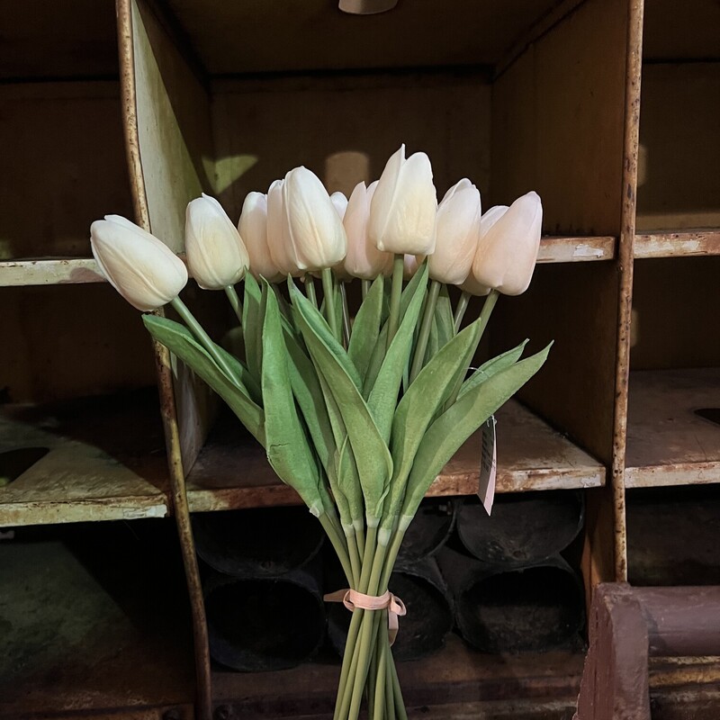 These beautiful Peach colored real touch tulips are absolutely stunning,  they look and feel like a real tulips. Use them as a gift, or fill your empty vases with a gorgeuos flower that you do not have to water! They measure 14 inches long and come in a bundle of 12 tied together with a raffia bow that can be cut to seperate the stems