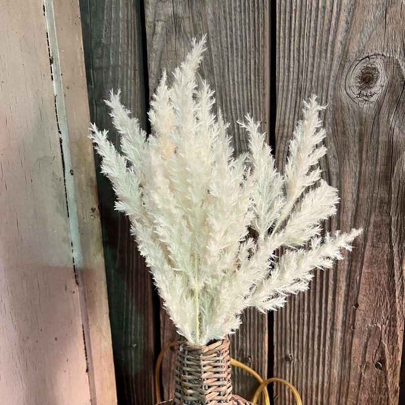 Add a touch of Boho to your home with these beatiful pampas stems. They come in your choice of cream or green and would be perfect added to any vase, jar or wicker basket. These stems measure 15 inces tall and can be fluffed for a fuller look