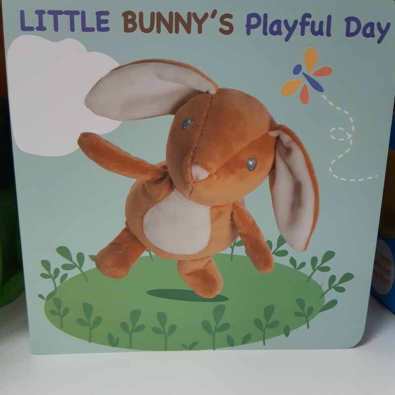 Bunnys Playful Day Book