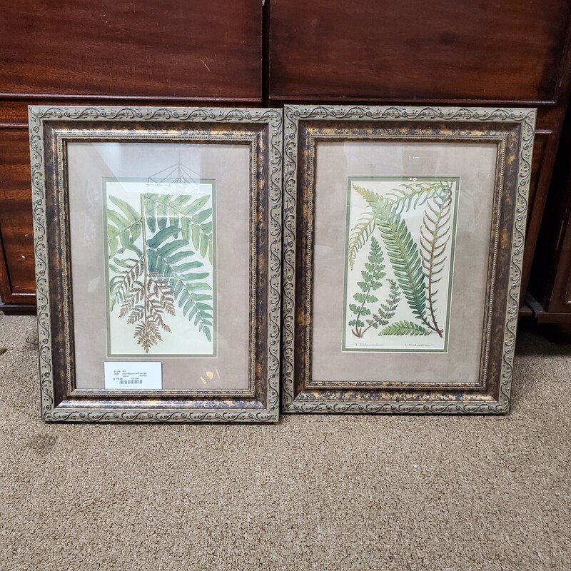 Pair Botanical Framed Pri, Size: 15x20