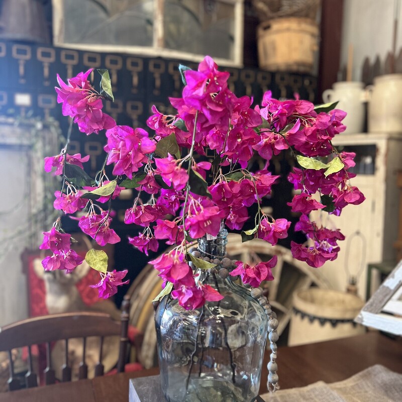 These gorgeous Draping Bougainvillea stems are stunning. Two or three stems in a large glass vase make a beautiful focal point in your home
Stem measures 46 inches in length
