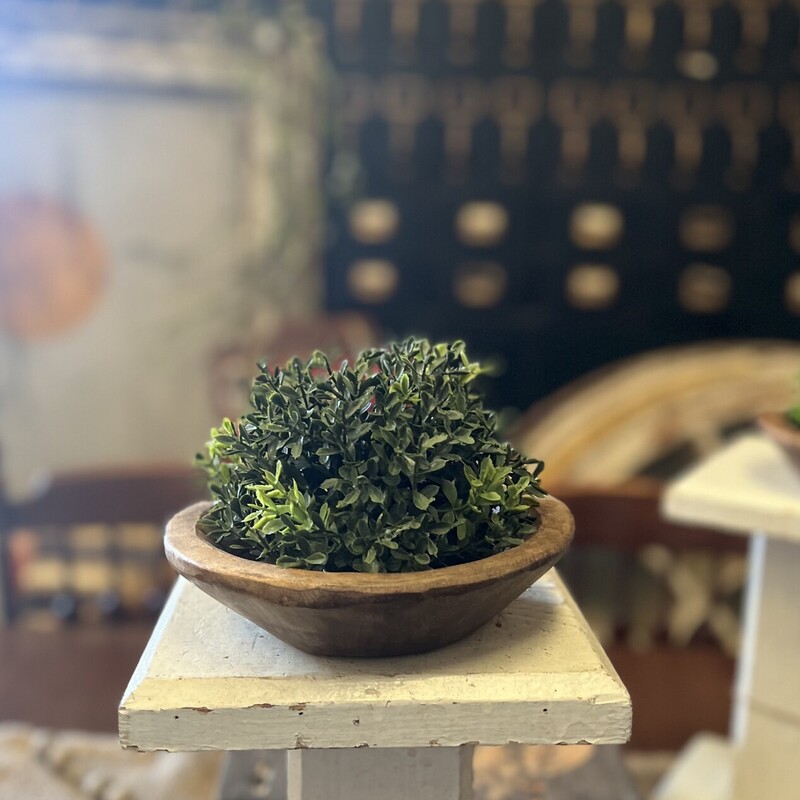 New England Boxwood half sphere features neutral green boxwood with a half sphere shape and flat base. Sphere can easily be displayed in a bowl or atop a vase or platform to add a touch of greenery to any room<br />
Measures 6 inches in diameter and 4.5 inches high