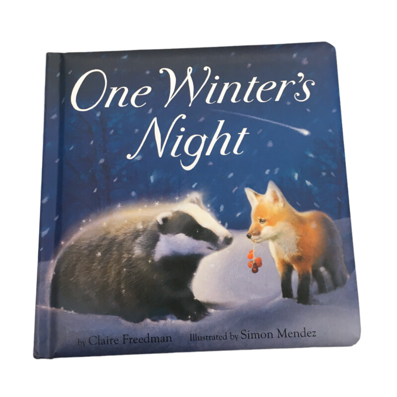 One Winters Night