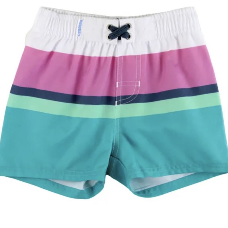 NEW 2T Teal Swim Shorts