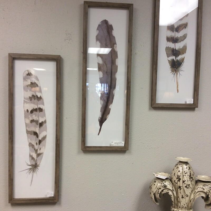 Set Of 3 Feather Pictures