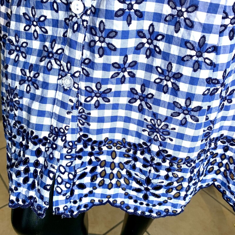 Isaac Mizrahi Live Dress,<br />
Colour: Blue and white gingham,<br />
Size: 10,<br />
Lined button down dress,