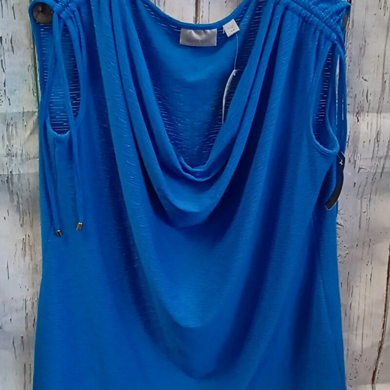 Brand new with tags, this sleeveless blouse retails for $40! Bright blue with ties at the shoulder for additional styling.