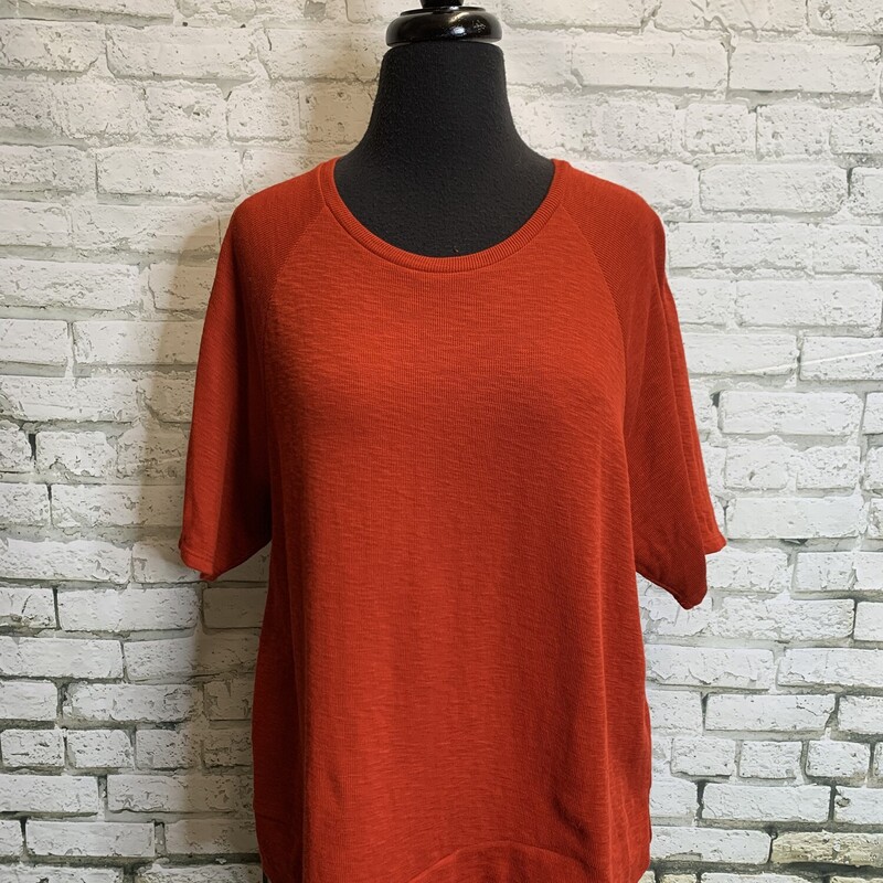 Eileen Fisher, Brick, Size: Small
