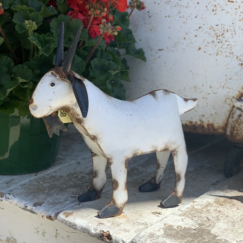 Add a a touch of fun and whimsy with one of  these adorable metal baby goats, they are a perfect touch to any outdoor space
Goat measures 11 inches high and 12 inches long