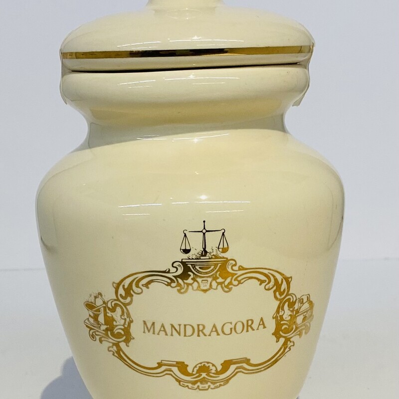 Mandragora Ceramic Jar
Cream Gold Size: 5 x 8.5H