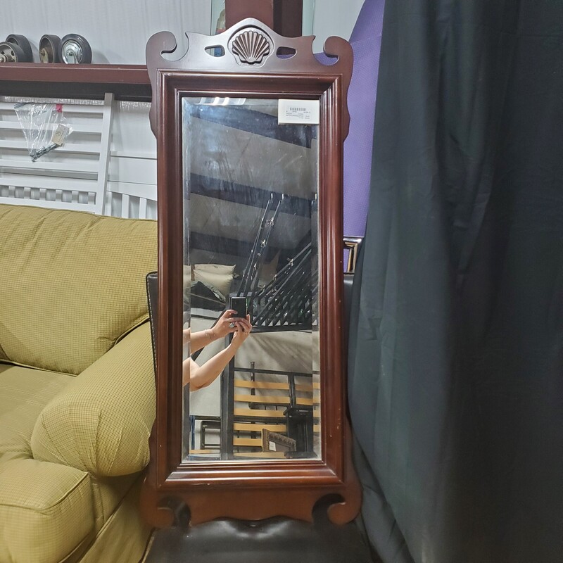 Wood Framed Long Mirror