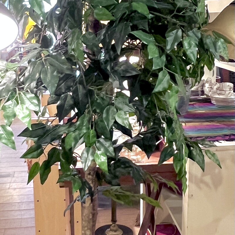Tree Silk In Basket, Green, Size: 78 H