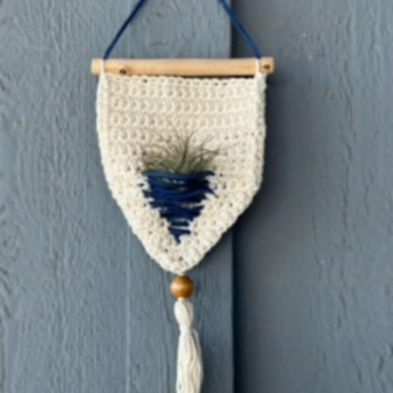 Crochet air plant hanger trimmed with leather cord.  Air plant included.
Handmade by a local vendor.
