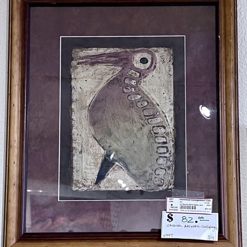 Art Booby Bird Galapagos