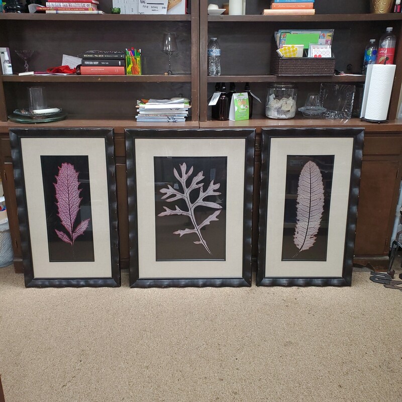 Tryptych Framed Leaves