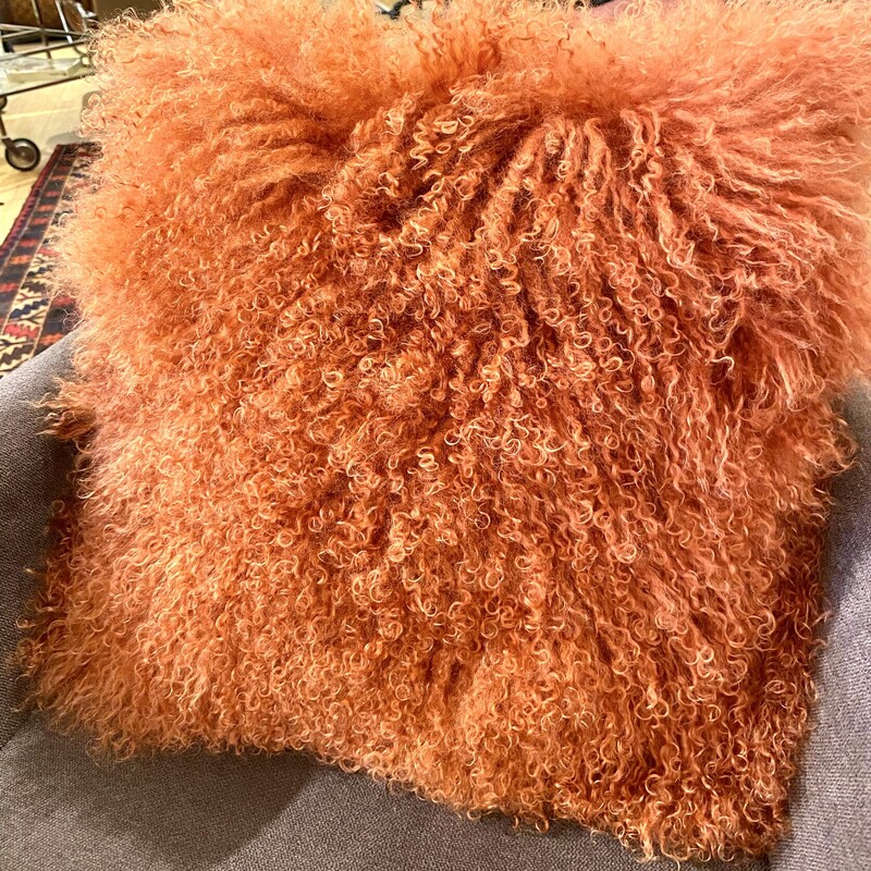 Pillow Shaggy