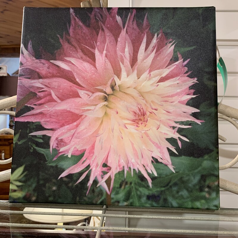 Pink Flower Canvas