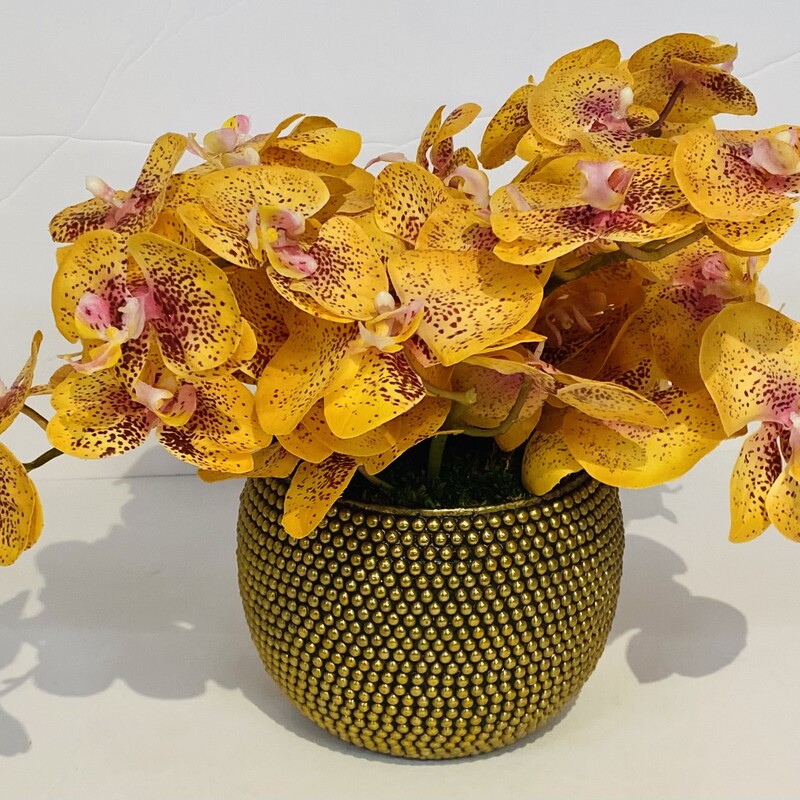 NDI Orchid In Brass Pot
Natural Decorations Inc.
Orange, Pink and Gold
Size: 15x11H