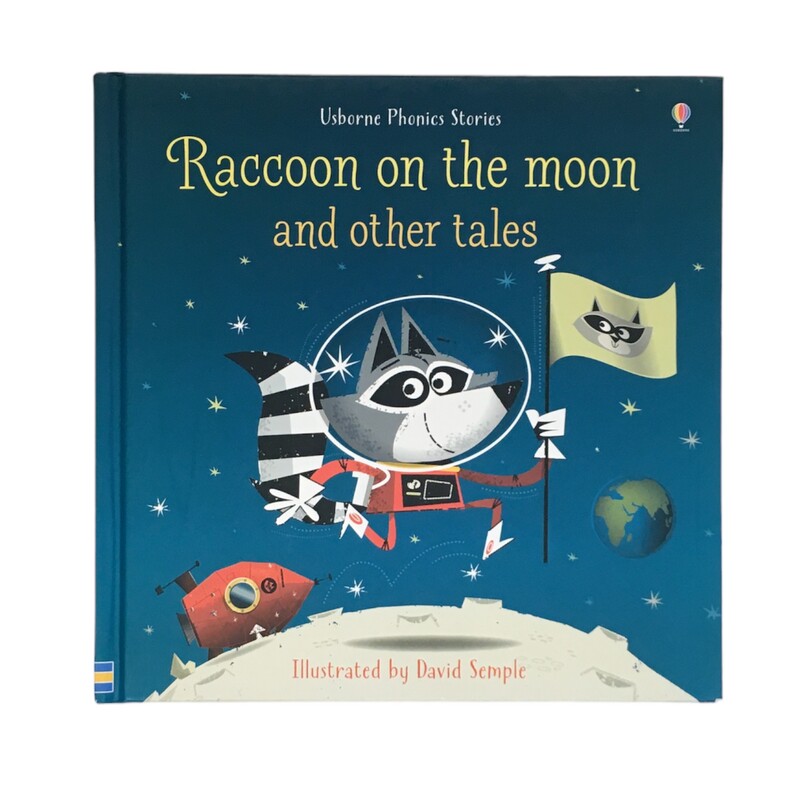 Raccoon On The Moon