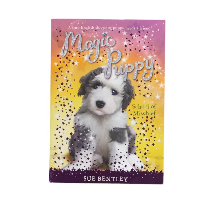 Magic Puppy School Of Mis