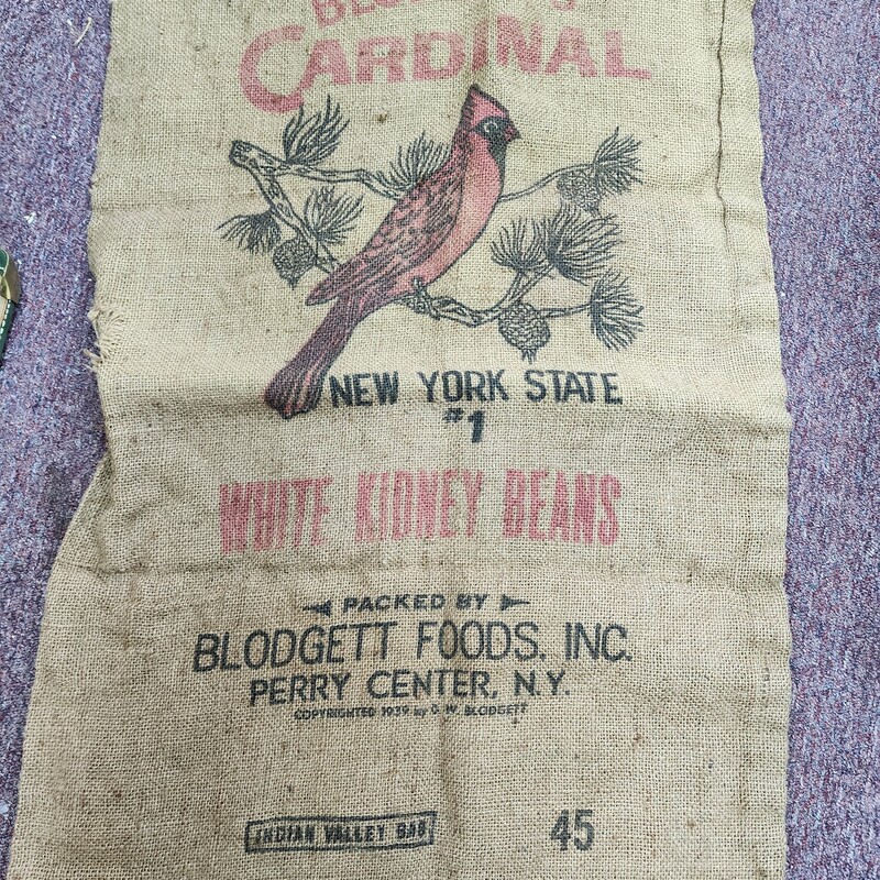 Cardinal Beans Bag