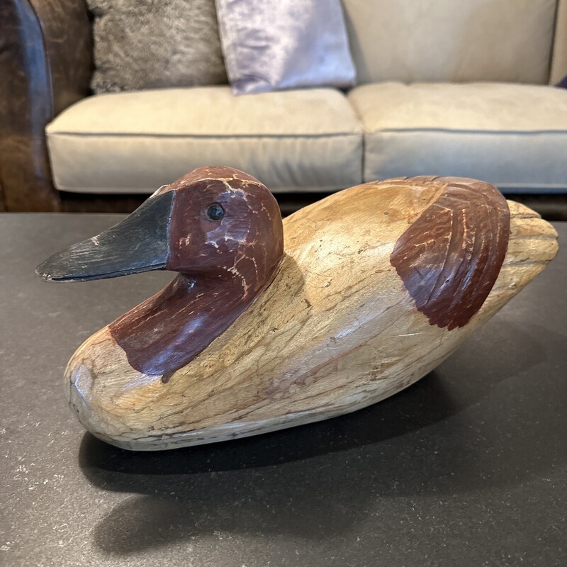Brown Painted Duck