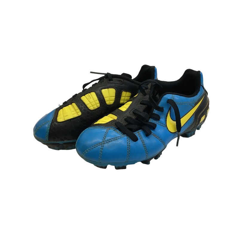 Shoes (Soccer/Blue)