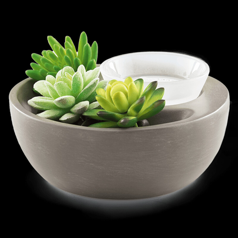 Scentsy Succlent Warmer
Gray Green Black Size: 7 x 3.5H
Retails: $45.00